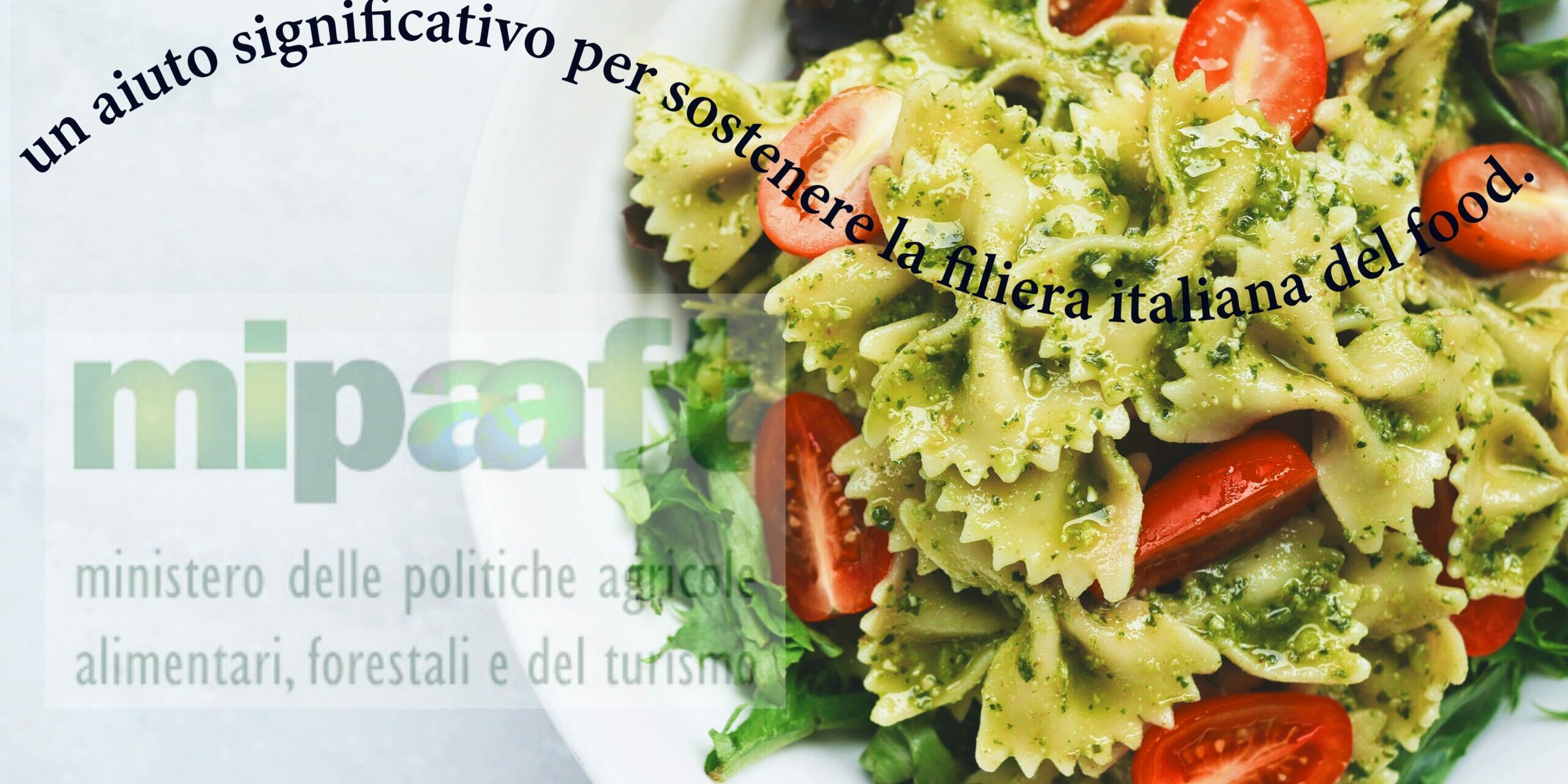 CAMPAGNA RISTORAZIONE