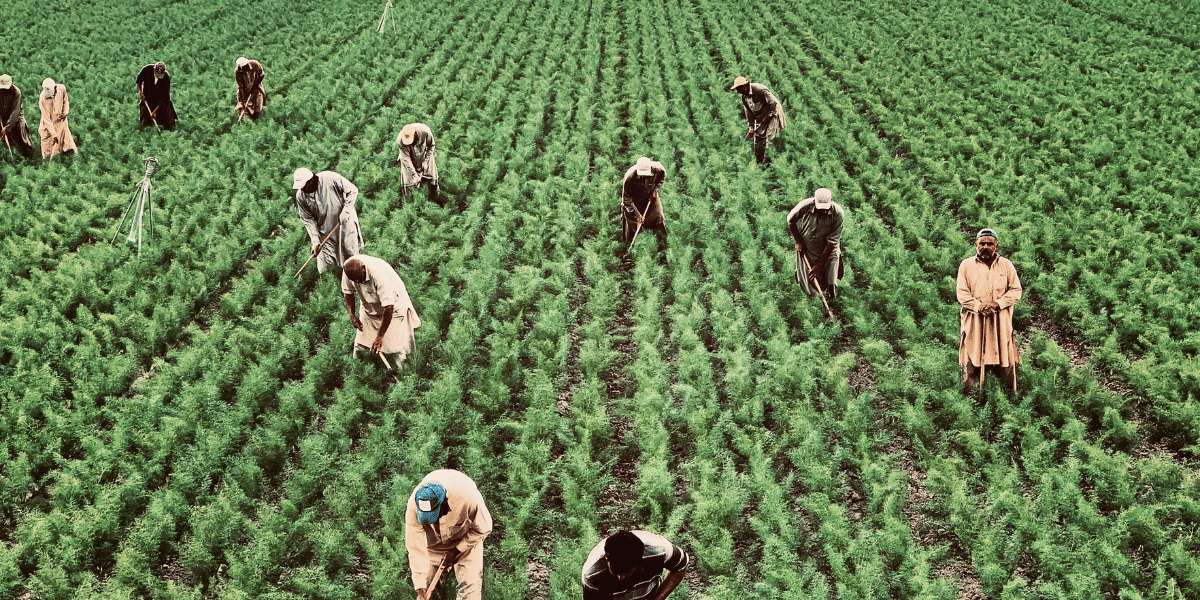 Green Happy Labour Day (Instagram Post) (1200 x 640 px) Decreto flussi immigrazione